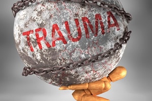 Trauma and Bereavement Webinar online
